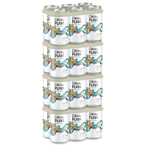 24 AMERICAN PALE ALE